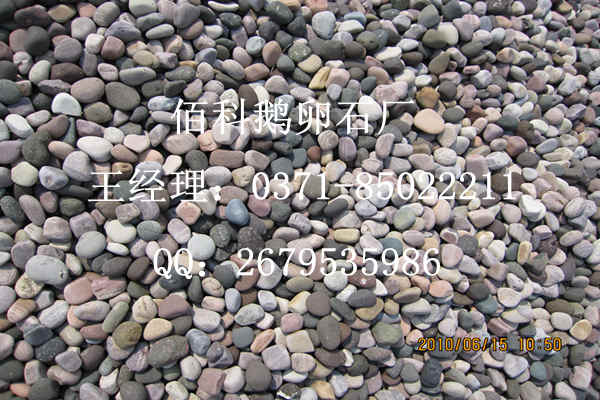 佰科天然鵝卵石，質(zhì)量?jì)r(jià)格可靠